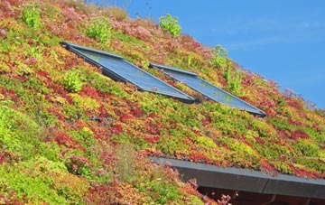 Airntully living roof systems
