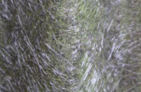 Airntully fibreglass roof work